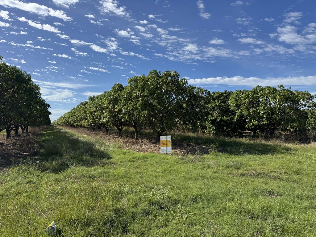 Lot 27 Bartlett Rd, Horseshoe Lagoon, QLD 4809