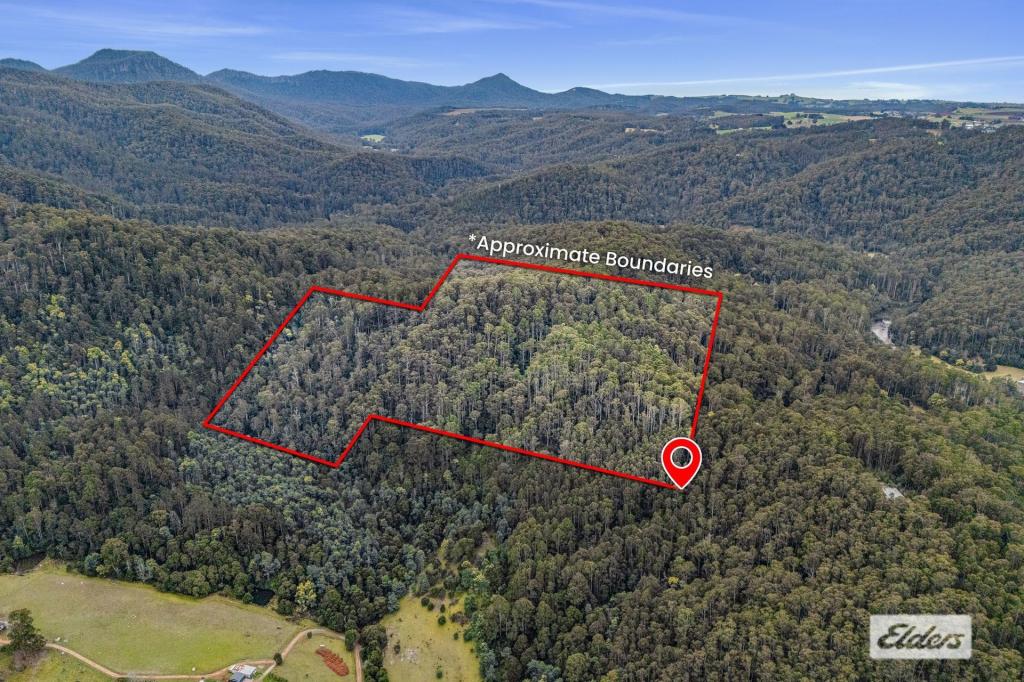 Bannons Bridge Rd, Gunns Plains, TAS 7315