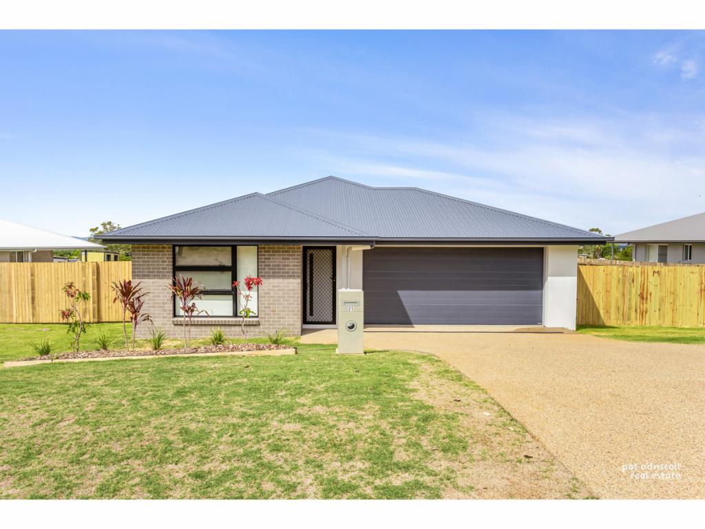 21 Sunflower Ave, Norman Gardens, QLD 4701