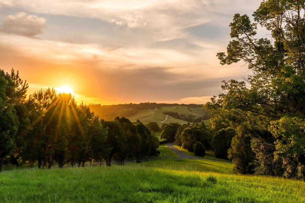 111 Fowlers Lane, Bangalow, NSW 2479