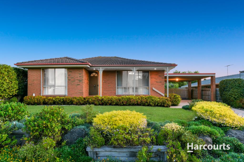 19 Archibald Ave, Narre Warren, VIC 3805