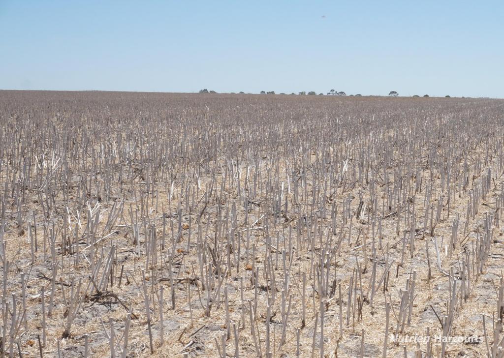 LOT 626 GIBSON RD, GIBSON, WA 6448