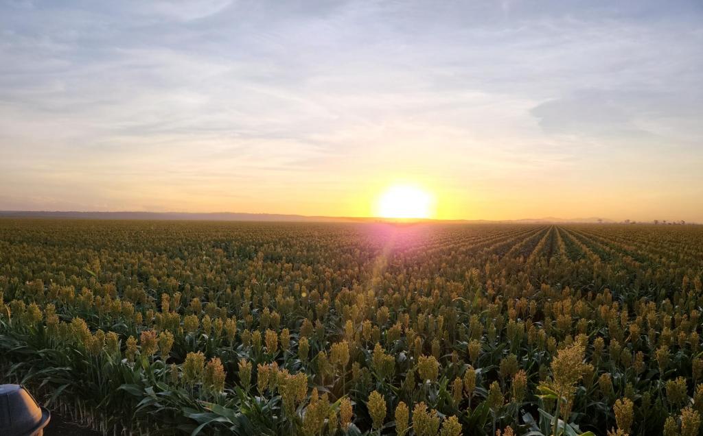 Lot 319 Bruce Hwy, Wangaratta, QLD 4806