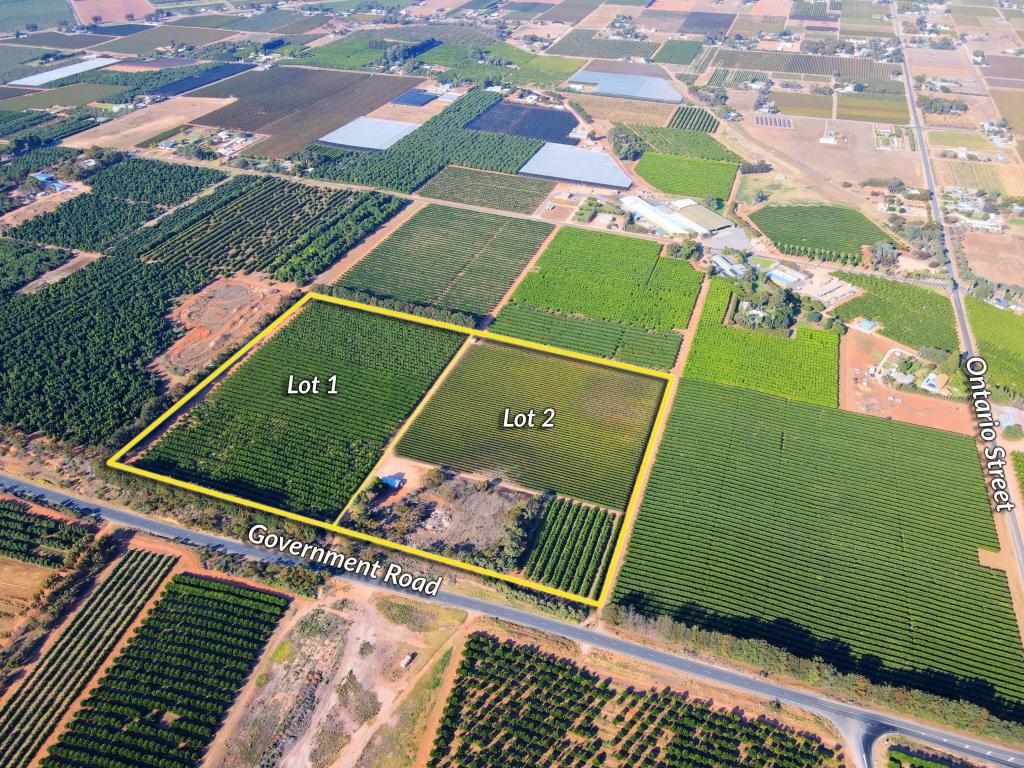 Lot 1 & 2 Government Rd, Renmark West, SA 5341