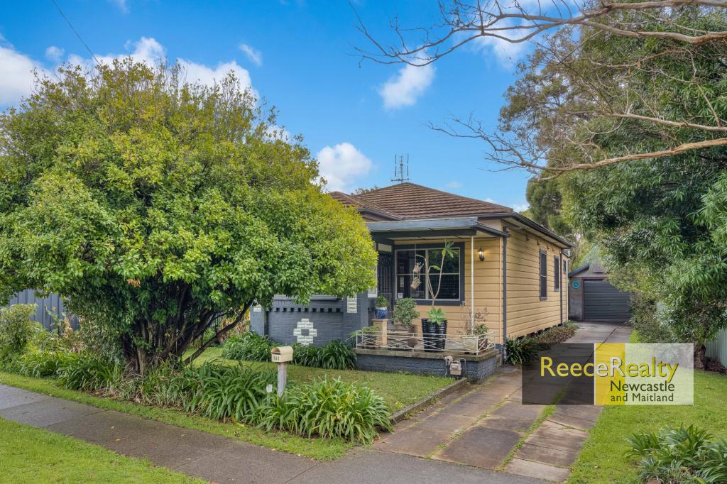 161 Christo Rd, Waratah, NSW 2298