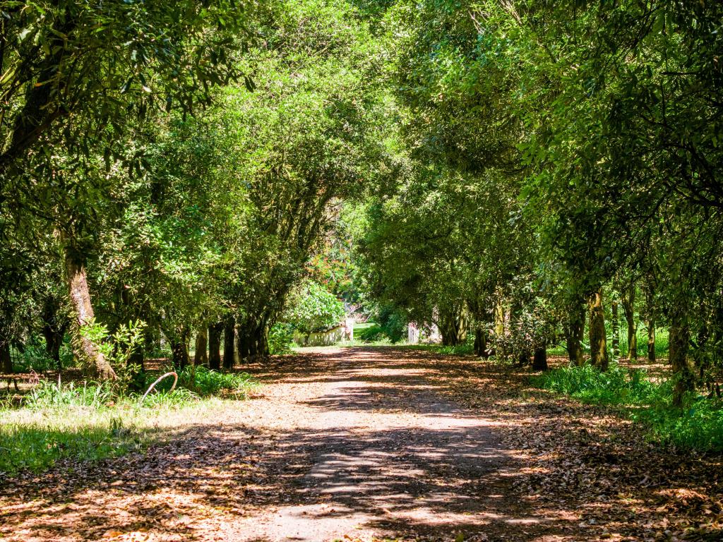 99 Rocky Creek Dam Rd, Dunoon, NSW 2480