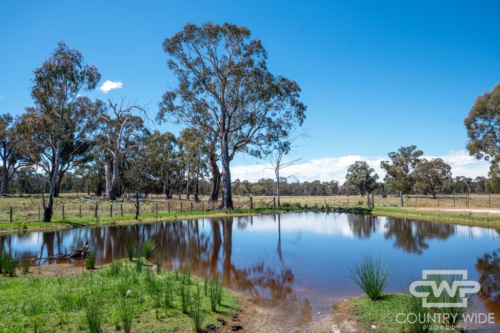 21 Torrington Rd, Torrington, NSW 2371