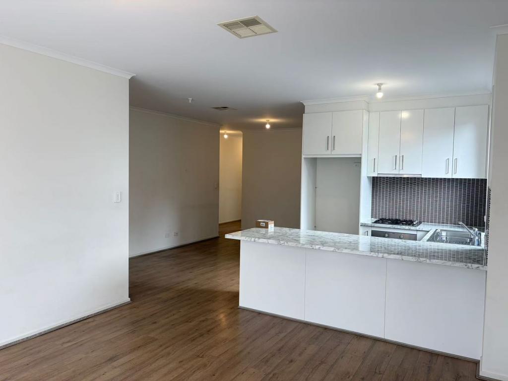 6 Shearing St, Oaklands Park, SA 5046