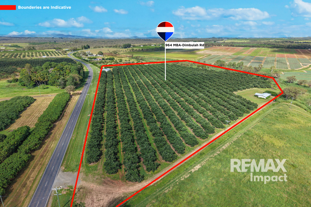 964 Mareeba-Dimbulah Rd, Paddys Green, QLD 4880