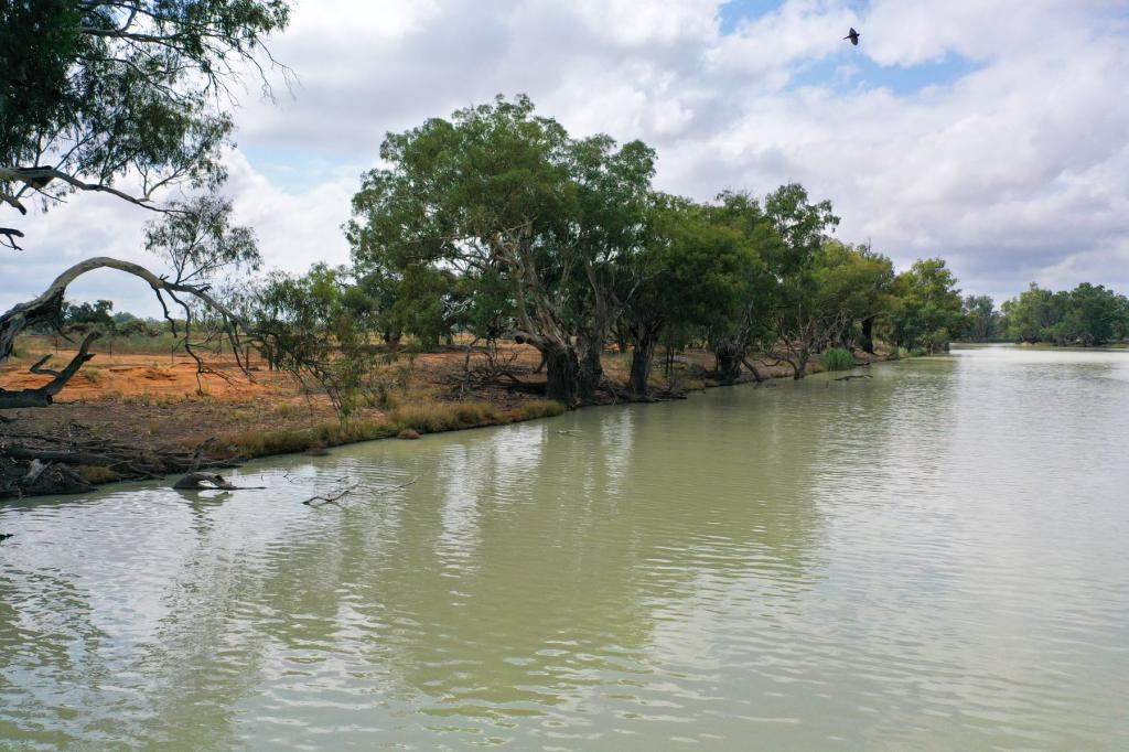 Lot 21 Darling River Estate, Pomona Rd, Wentworth, NSW 2648