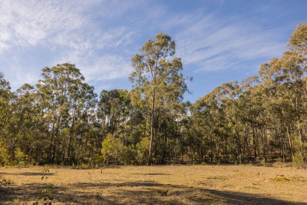 318 White Cedars Rd, Kains Flat, NSW 2850