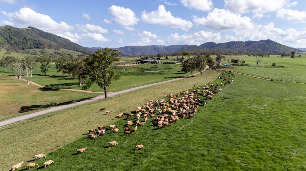 846 Toms Creek Rd, Ellenborough, NSW 2446