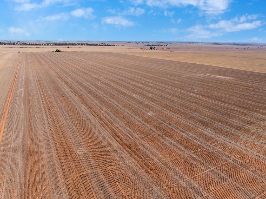 'Towerhill Block' Tower Hill Rd, Kybunga, SA 5453