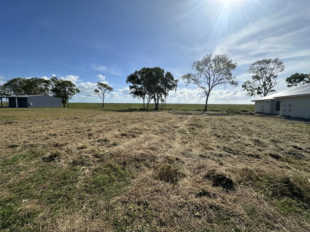 17 Nina Dr, Ayr, QLD 4807