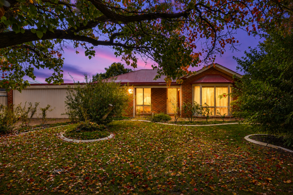 12 Rural Dr, Mildura, VIC 3500