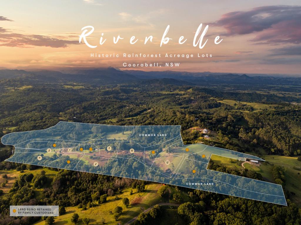 Lot 4/409 Coorabell Rd, Coorabell, NSW 2479