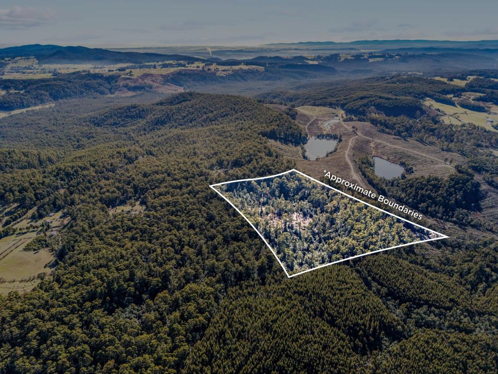 Lot 2 Harland Rise Rd, Paradise, TAS 7306