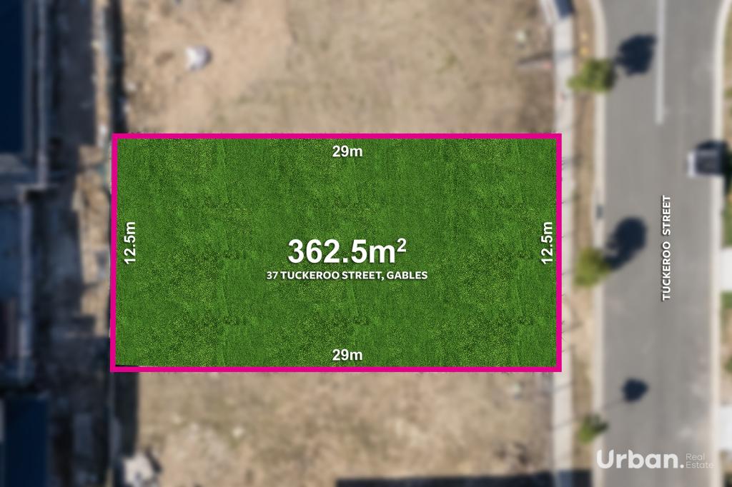 37 TUCKEROO ST, GABLES, NSW 2765