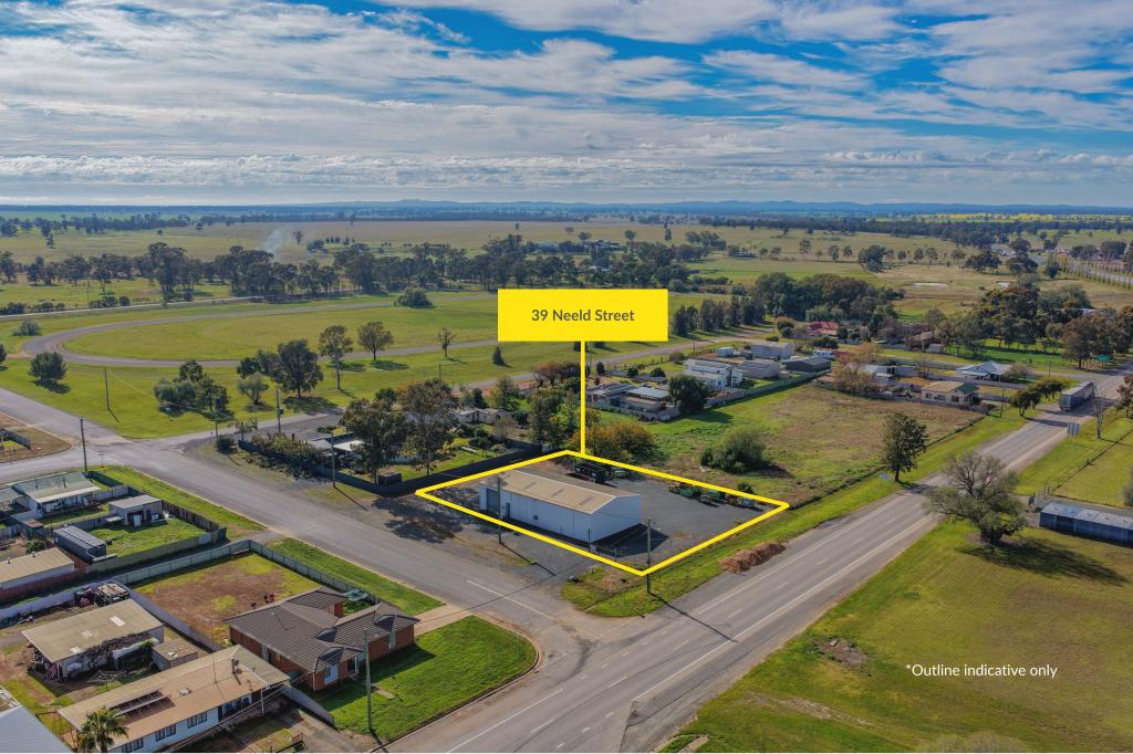 39 Neeld St, Wyalong, NSW 2671