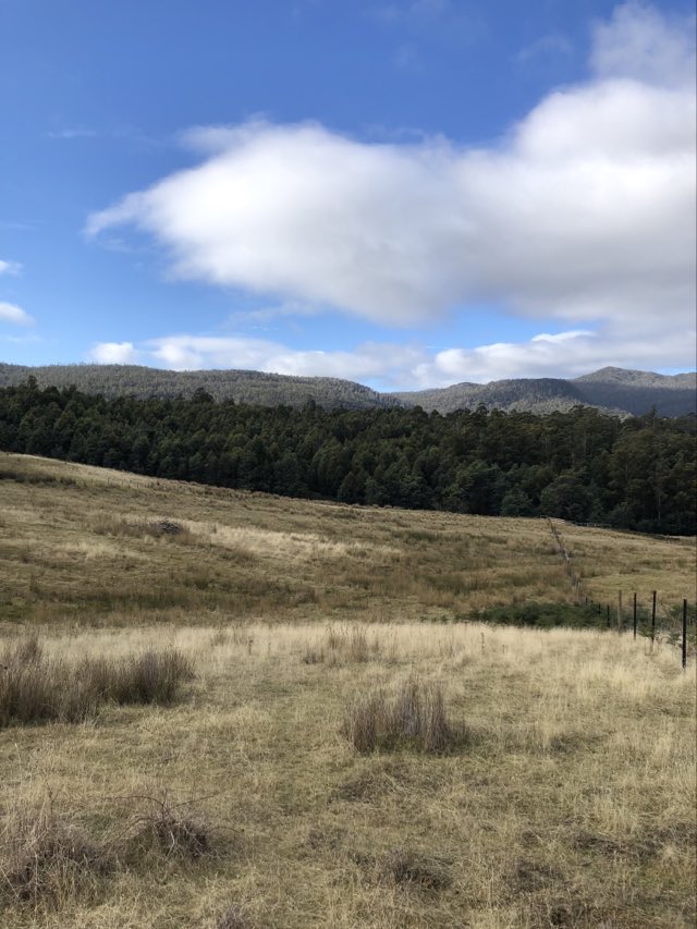 82 Grahams Rd, Black Hills, TAS 7140