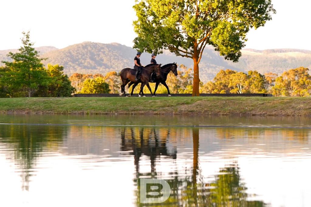 111 KEMP RD, NEW GISBORNE, VIC 3438