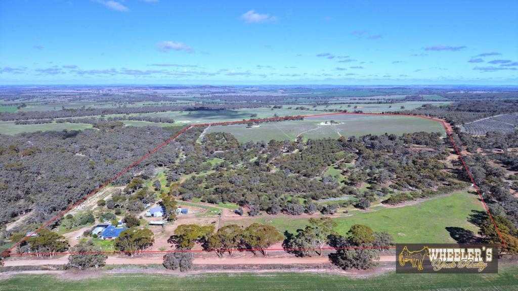 38 AVOCA RD, MORBINNING, WA 6304