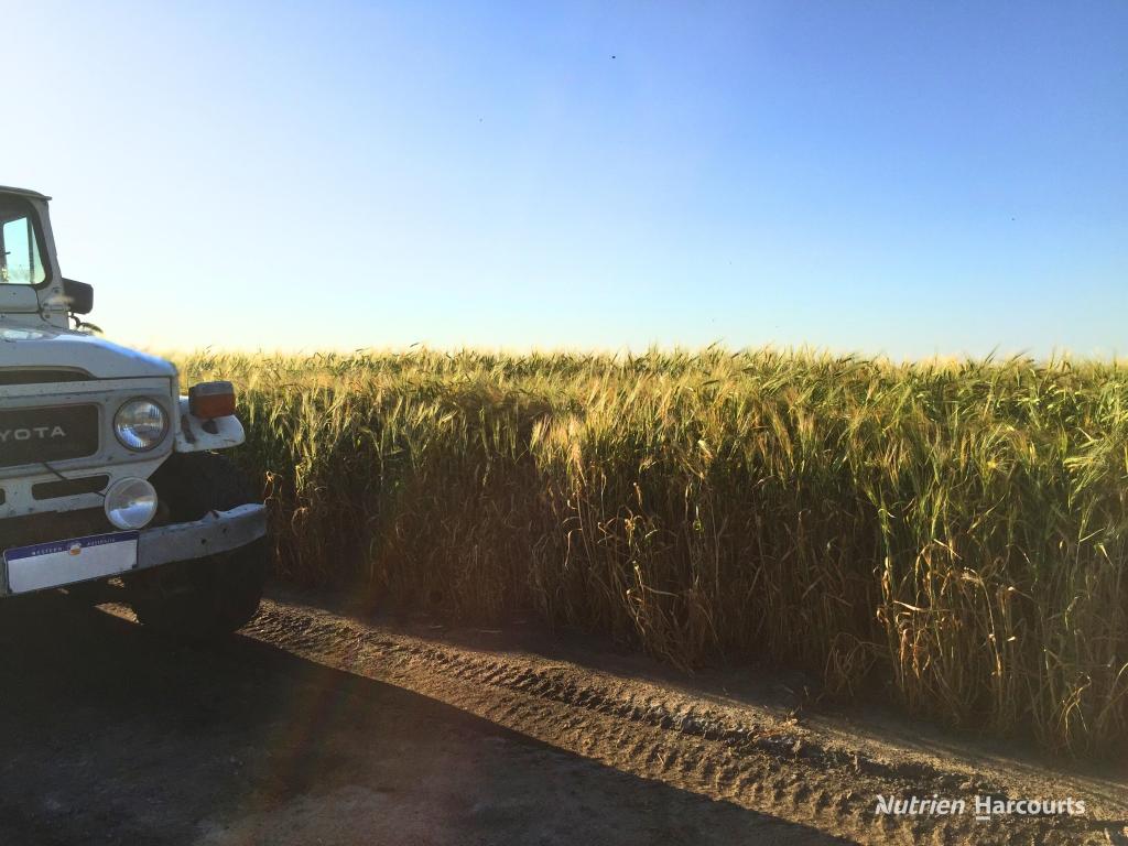 "Spion Kop" Huadanning Rd, South Trayning, WA 6488