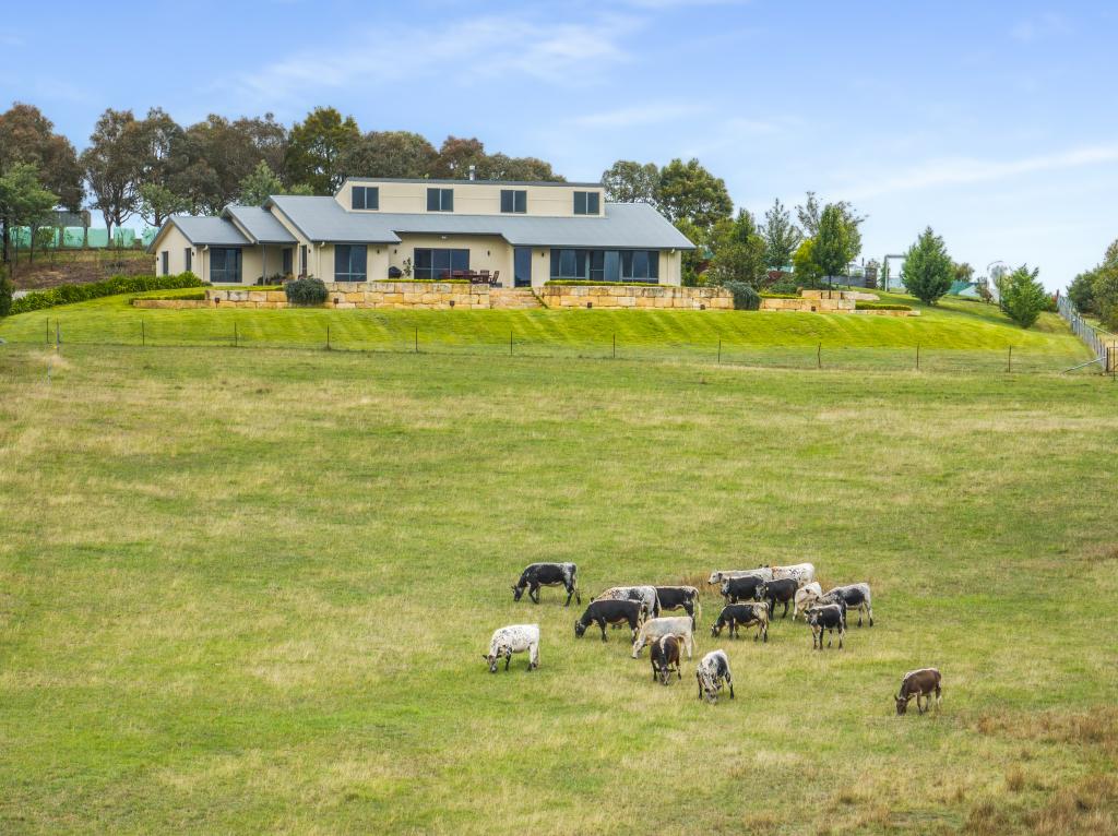 500 Portland Sunny Corner Rd, Portland, NSW 2847