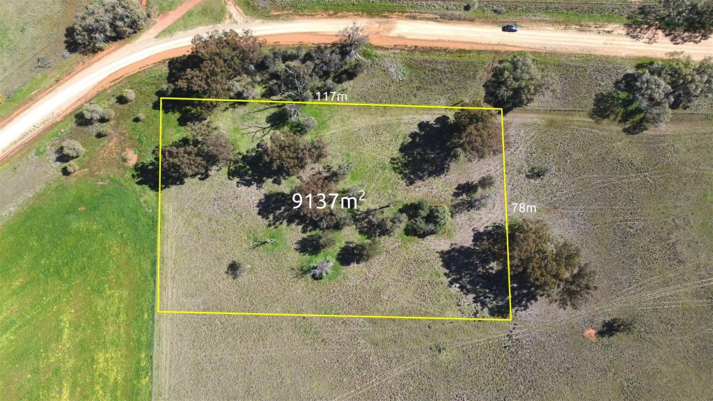 Lot 1 Roseholm Rd, Peak Hill, NSW 2869