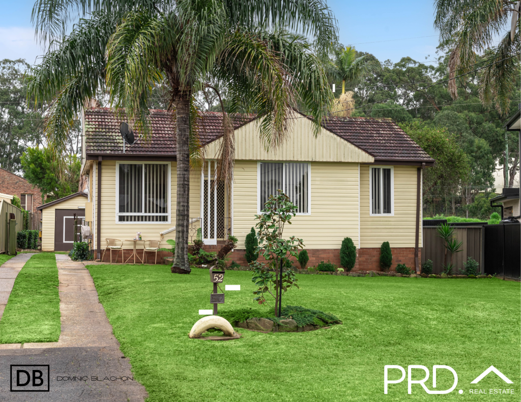 52 Hendy Ave, Panania, NSW 2213