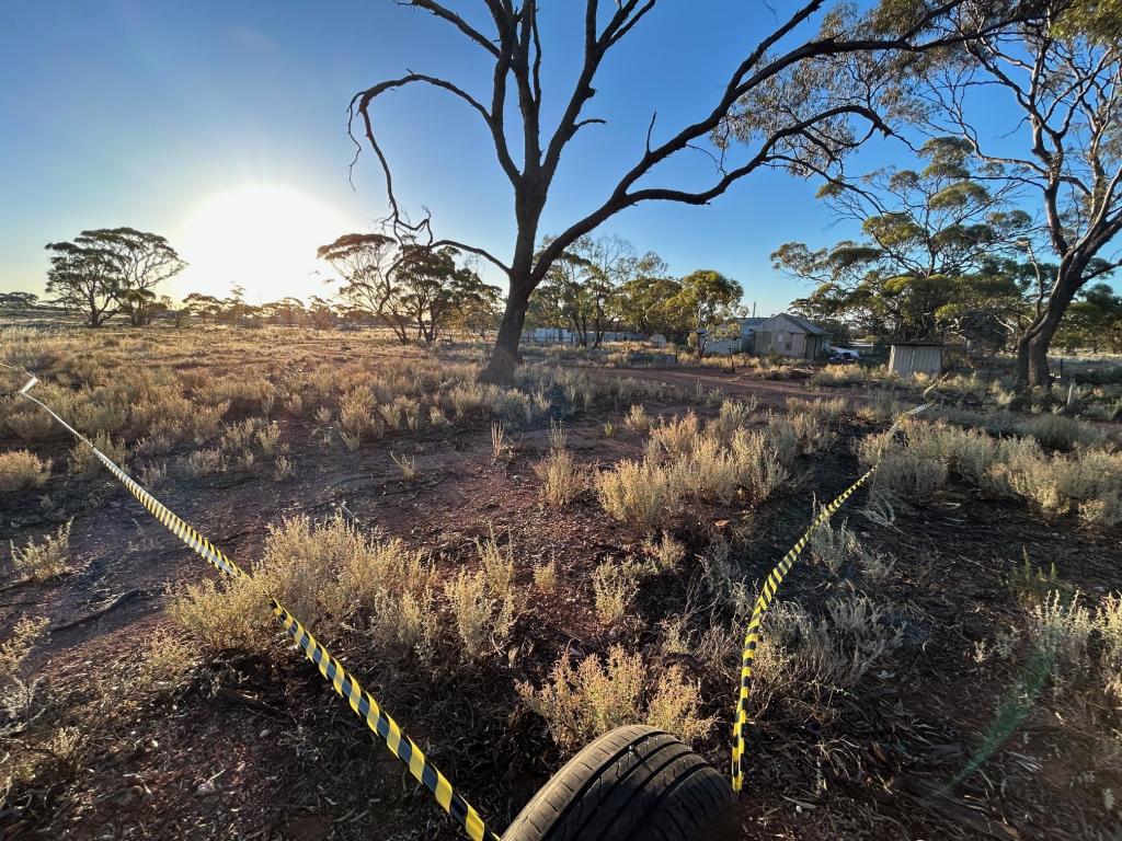 42 West St, Bullfinch, WA 6484