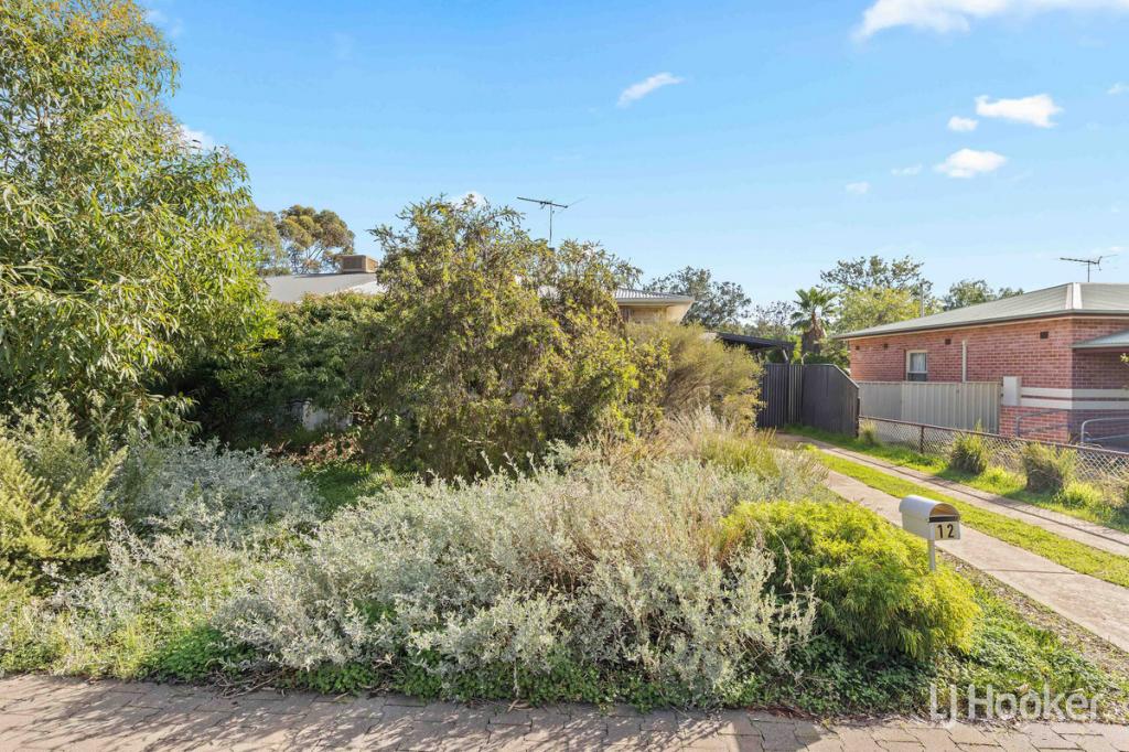 12 Guerin Rd, Elizabeth Vale, SA 5112