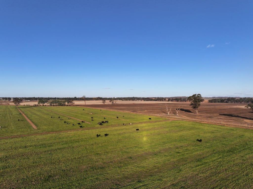 96 Murdoch Rd, Fairy Dell, VIC 3561