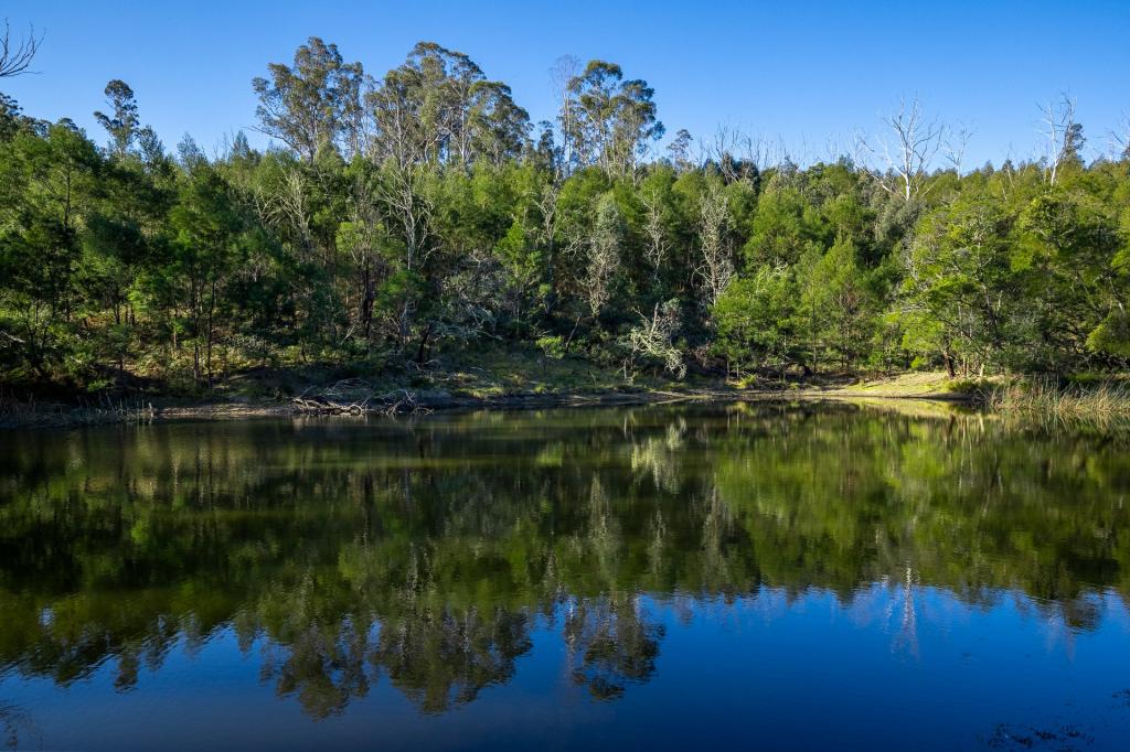 Lot 1124 Upper Brogo Rd, Brogo, NSW 2550
