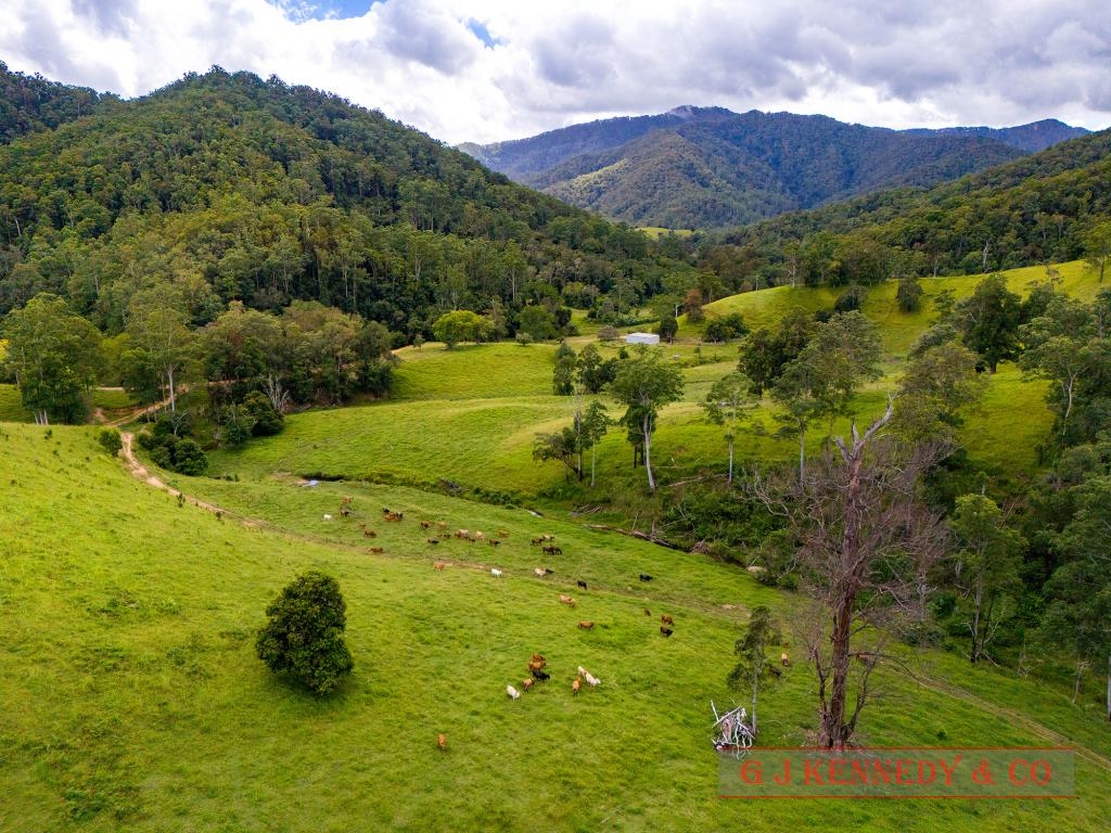 Lot 104/123 Thumb Creek Rd, Thumb Creek, NSW 2447