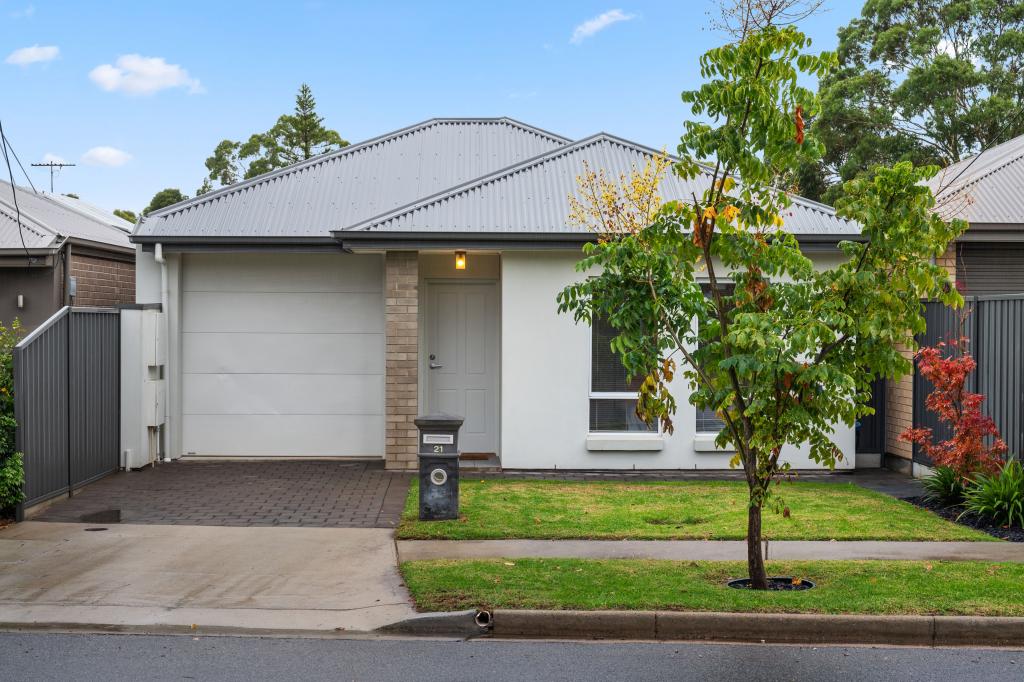 21 Kelmscott St, Oaklands Park, SA 5046