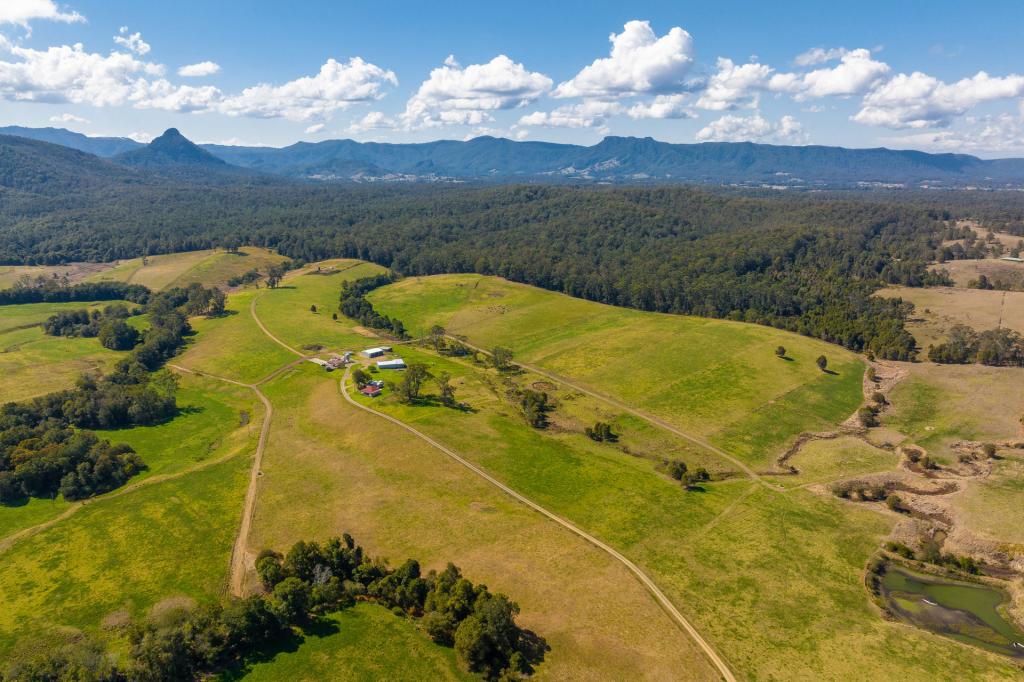 80 Mortons Rd, Killabakh, NSW 2429