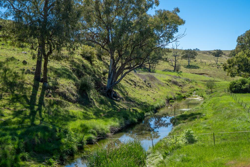 1097 Davys Plains Rd, Cudal, NSW 2864