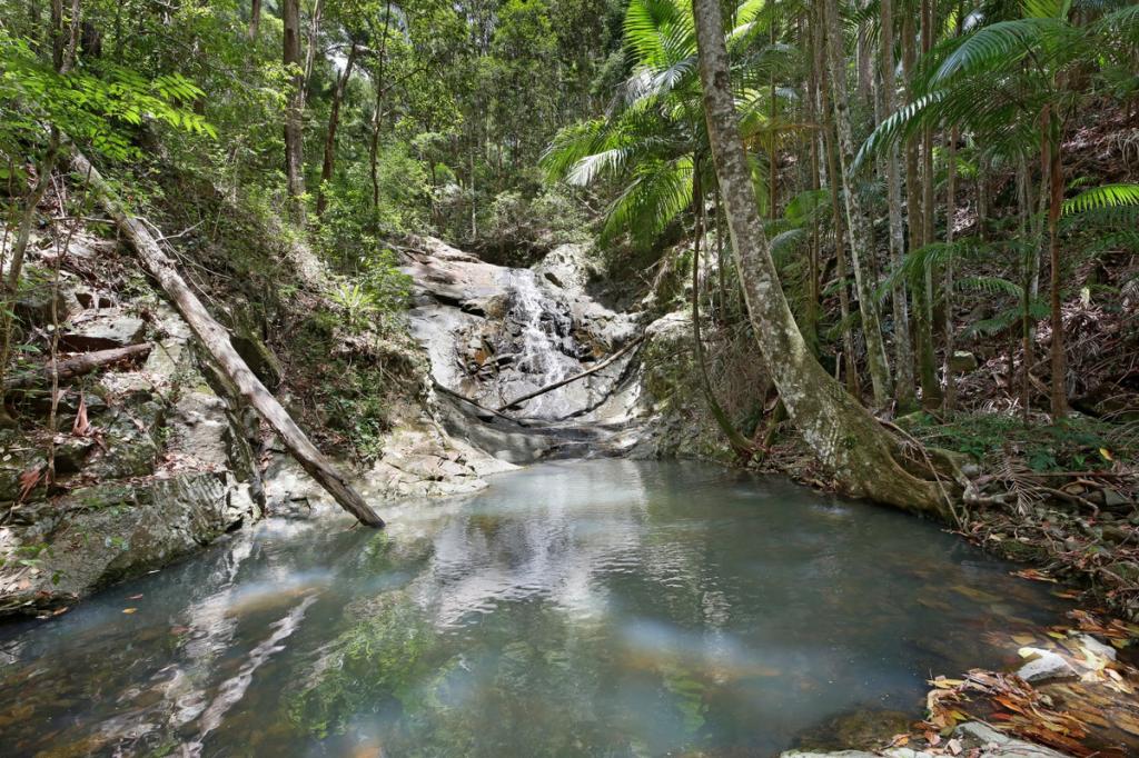 138 Araluen Rd, Tallebudgera Valley, QLD 4228