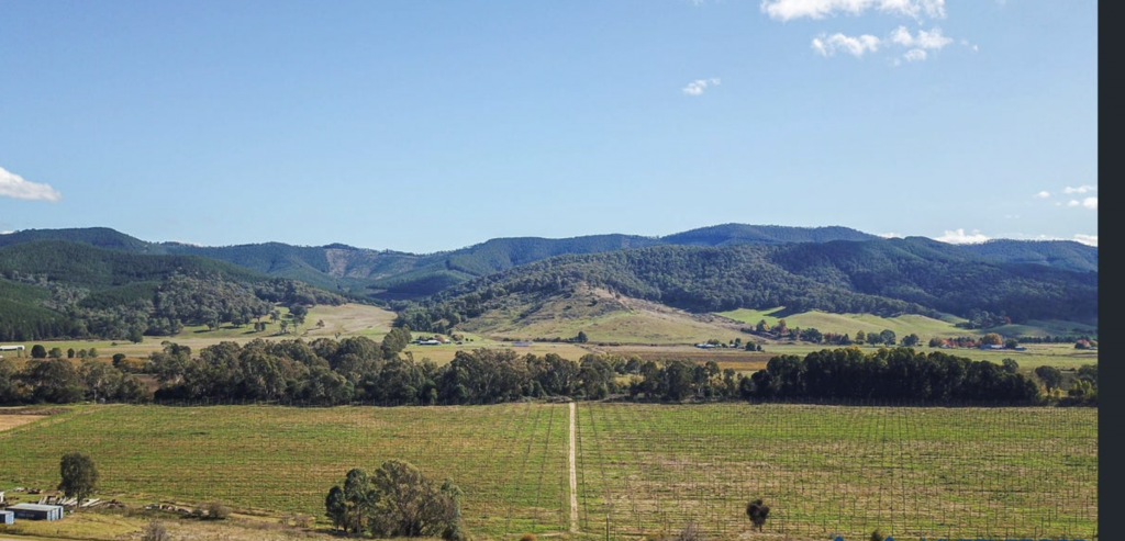 551b Buffalo River Rd, Buffalo River, VIC 3737