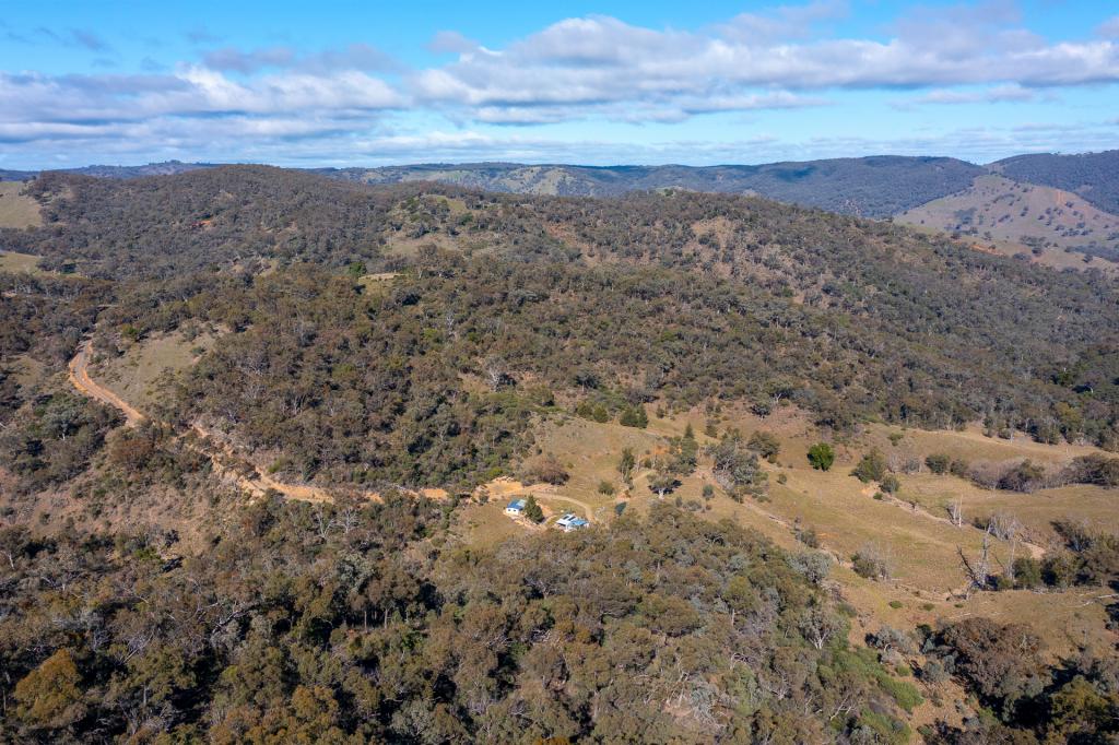1697 Triamble Rd, Triamble, NSW 2850