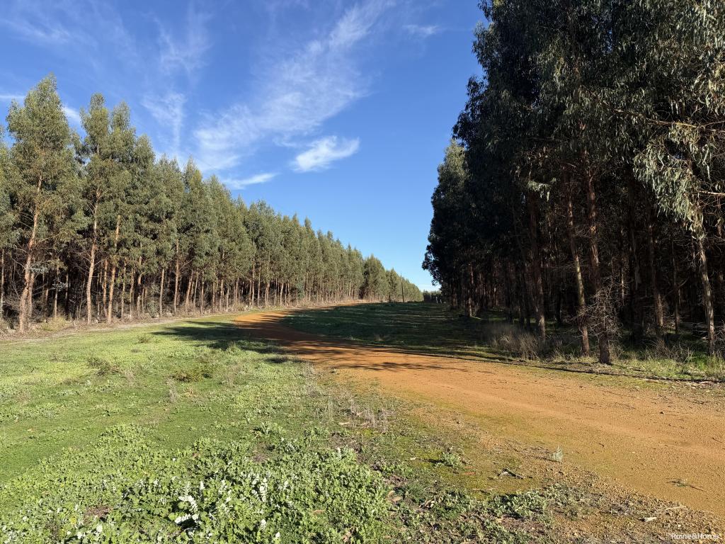 681 Chorkerup Rd, Narrikup, WA 6326