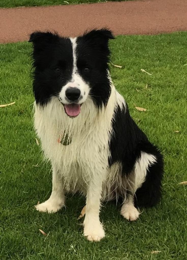 115 Great Eastern Hwy, Boorabbin, WA 6429