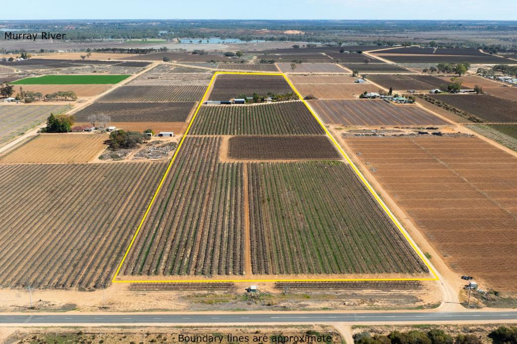 229 Morgan Rd, Cobdogla, SA 5346