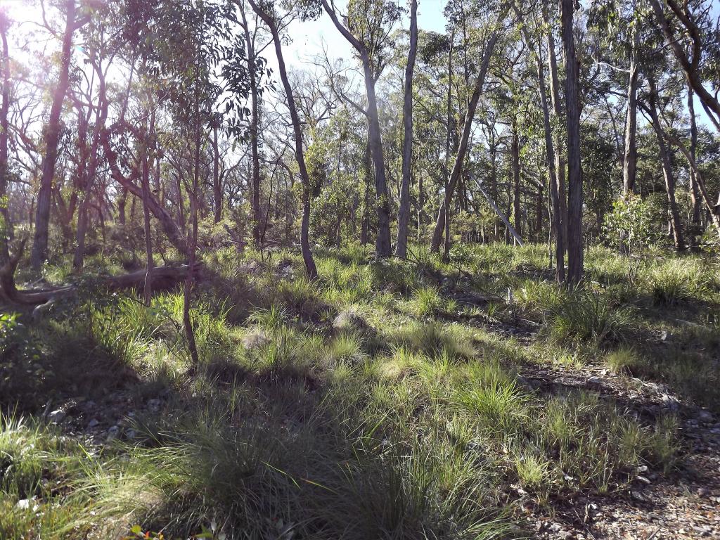 1527 New England Hwy, Dundee, NSW 2370