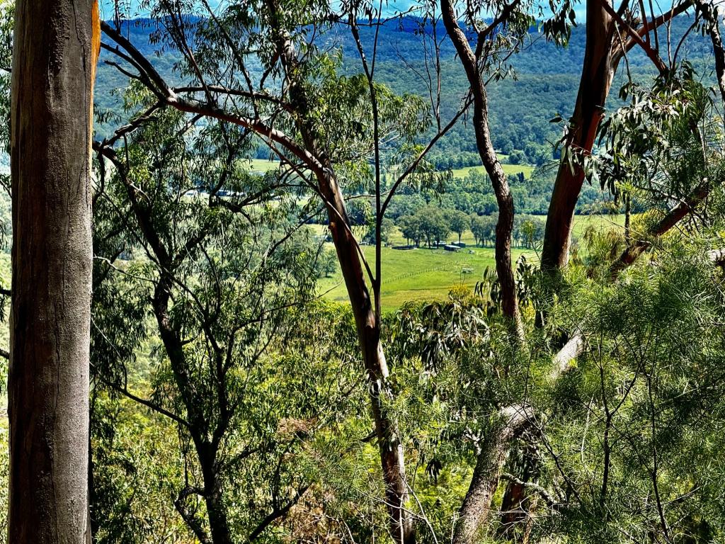LOT 12 WOLGUNA RD, WOLLOMBI, NSW 2325