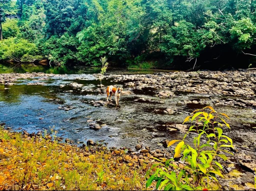 Lot 45 Jensens Crossing Rd, Cooktown, QLD 4895