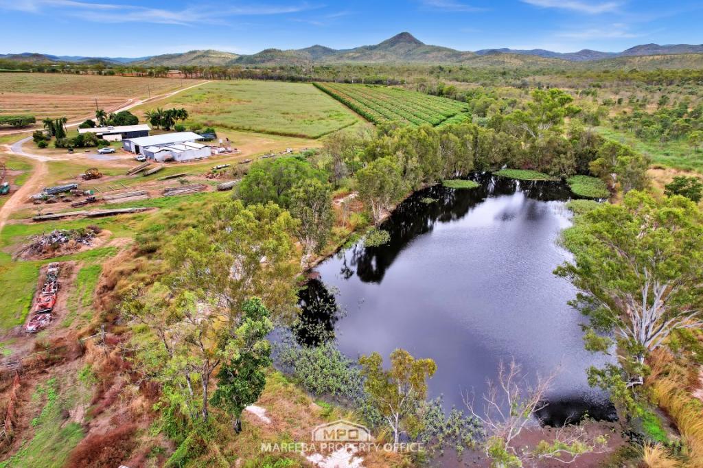 994 Leafgold Weir Rd, Dimbulah, QLD 4872