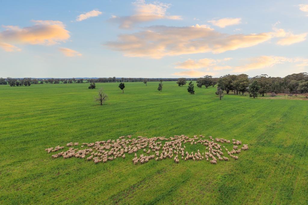 679 BELLARWI RD, WEST WYALONG, NSW 2671