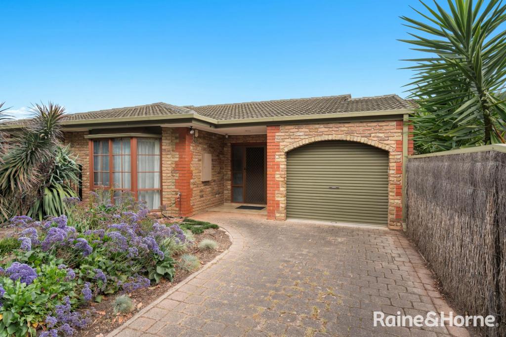 3b Hereford Ave, Trinity Gardens, SA 5068